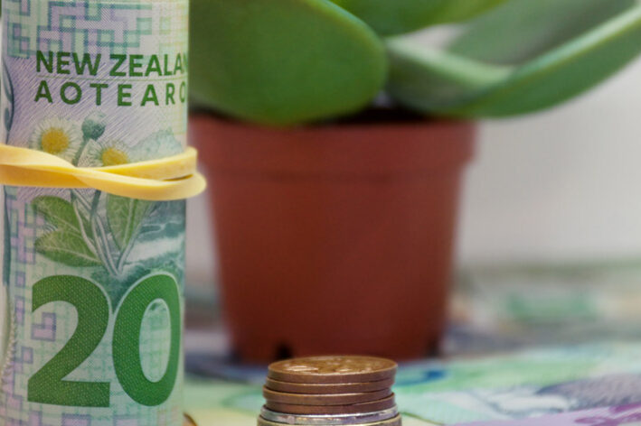 Kiwisaver for the self-employed Kiwisaver for the self-employed