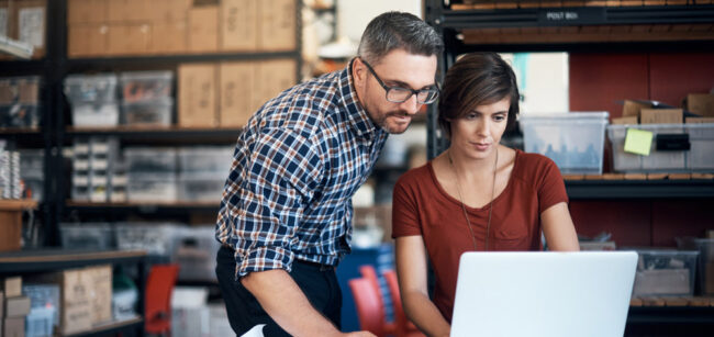 Small Business Cash-flow Scheme extension Small Business Cash-flow Scheme extension